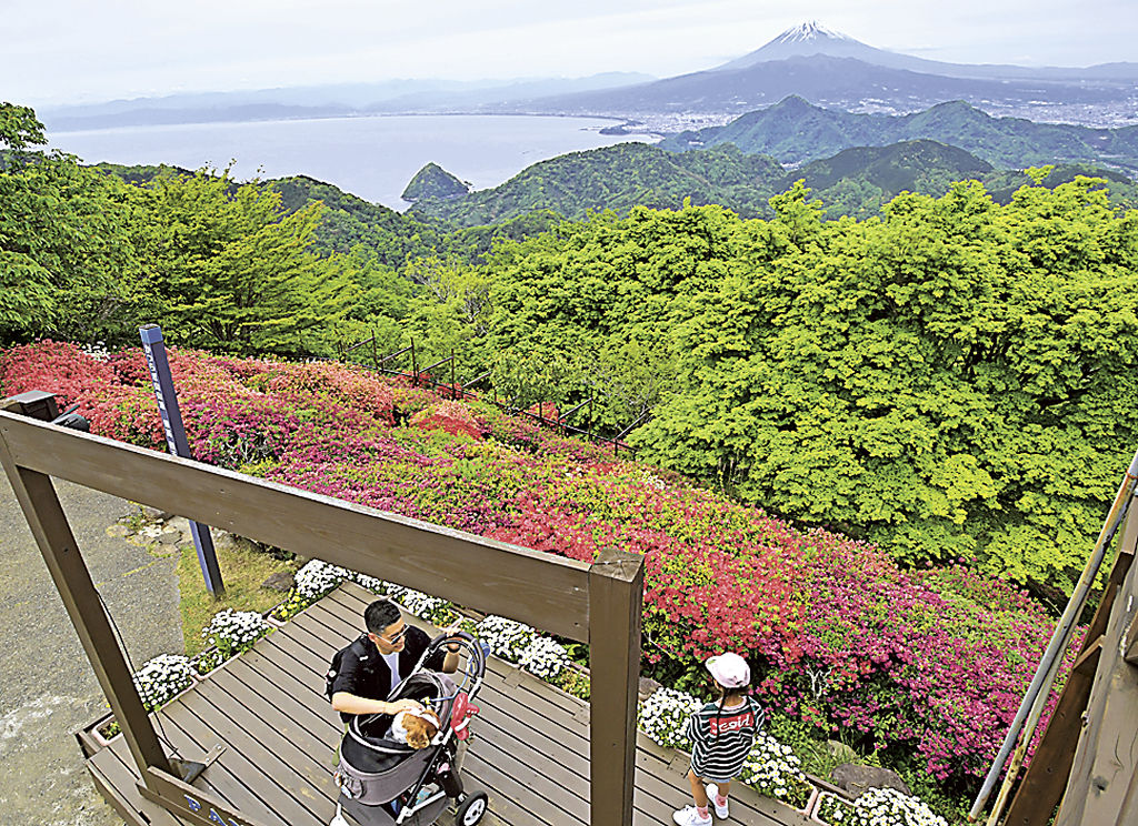 ツツジ、富士山、駿河湾が共演し来場者を楽しませる＝伊豆の国市の伊豆パノラマパーク